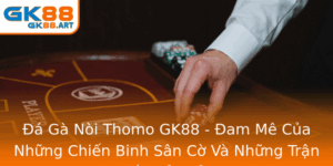 A Ga Noi Thomo Gk88 Am Me Cua Nhung Chien Binh San Co Va Nhung Tran Au Nay Lua