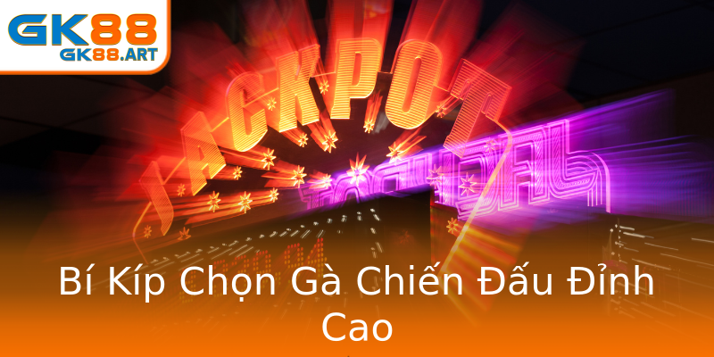 Bí Kíp Chọn Gà Chiến Đấu Đỉnh Cao Bí Kíp Chọn Gà Chiến Đấu Đỉnh Cao