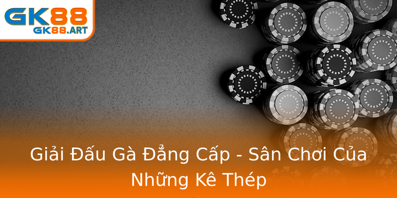 Giải Đấu Gà Đẳng Cấp - Sân Chơi Của Những Kê Thép Giải Đấu Gà Đẳng Cấp - Sân Chơi Của Những Kê Thép