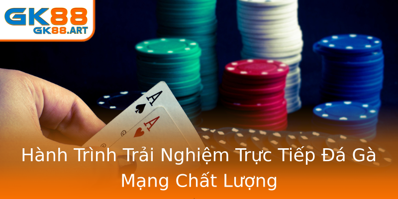 Hành Trình Trải Nghiệm Trực Tiếp Đá Gà Mạng Chất Lượng Hành Trình Trải Nghiệm Trực Tiếp Đá Gà Mạng Chất Lượng