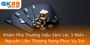 Kham Pha Thuong Hieu Sam Loc 3 Mien Nguyen Lieu Thuong Hang Phuc Vu Suc Khoe Toan Dien