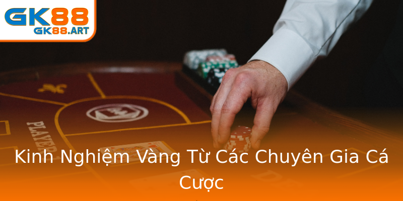 Kinh Nghiệm Vàng Từ Các Chuyên Gia Cá Cược Kinh Nghiệm Vàng Từ Các Chuyên Gia Cá Cược