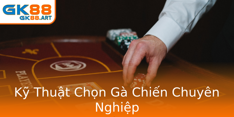 Kỹ Thuật Chọn Gà Chiến Chuyên Nghiệp Kỹ Thuật Chọn Gà Chiến Chuyên Nghiệp