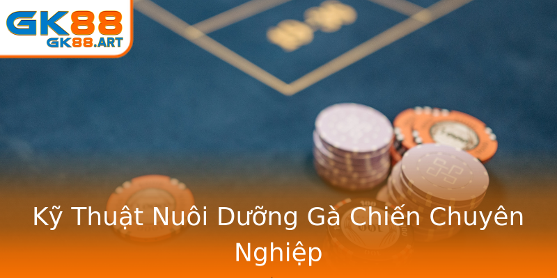 Kỹ Thuật Nuôi Dưỡng Gà Chiến Chuyên Nghiệp Kỹ Thuật Nuôi Dưỡng Gà Chiến Chuyên Nghiệp